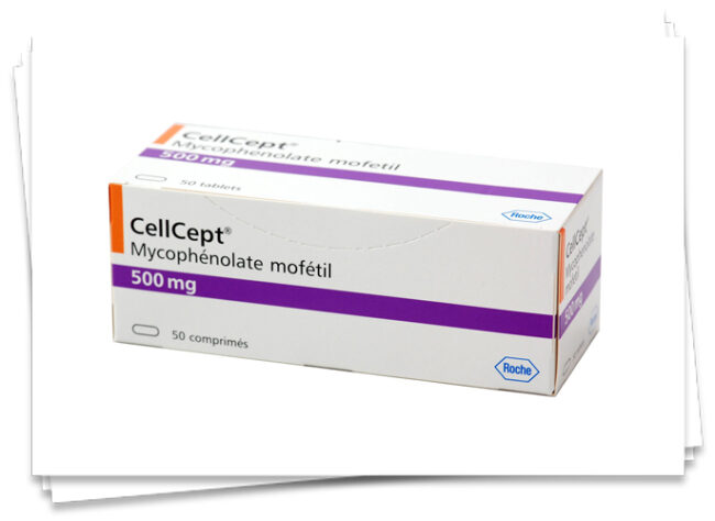 cellcept 500 mg supplier in ahmedabad