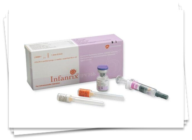 infanrix vaccine exporter in ahmedabad