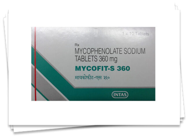 Mycofit 360 exporter in gujarat