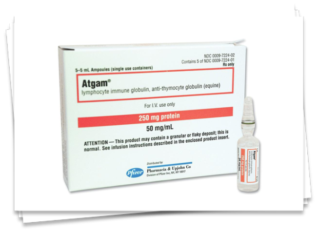 atgam Atgam 250mg Inj