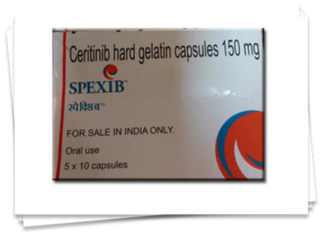 spexib capsules dealer and retailer in gujarat